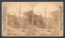 CANADA 1880s Stereoview Photo by Esson. View of Little Lake Joseph, Muskoka picture