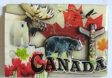 Canada Souvenir Magnet Polar Bear Moose Totem Pole Maple Leaf Grizzly picture