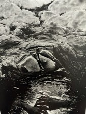 Jerry Uelsmann Untitled 1972 Gelatin Silver Photo Hands Water 8x10 Stamped picture