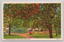Pavilion John Ball Park Grand Rapids Michigan Linen Postcard picture
