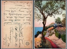 1910s Italy Capri scenic Mediterranean sea view garden Brunner Como postcard picture
