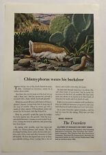 Vintage 1949 Original Print Advertisement Full Page - The Travelers Chlamyphorus picture