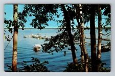 Higgins Lake MI-Michigan, South Shore, Scenic Water View, Vintage Postcard picture