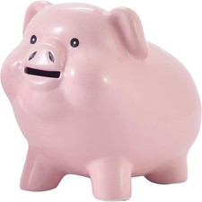 Ceramic Pig Piggy Bank for Adults Must Break to Open,Girls Coin Bank for Boys... picture