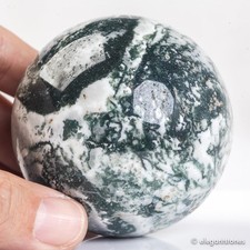 384g 66mm Moss Agate Sphere Crystal Ball Natural Aquatic Plant Water Grass Reiki picture