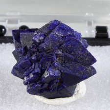 Perfect AZURITE “ROSE” FLOATER - Morenci Mine, Greenlee Co., Arizona  picture