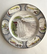 Vintage Swinnertons Staffordshire Niagara Falls Plate 10”d picture