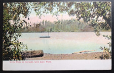 Vintage - 1910 In the Trees on the Lake, Loon Lake, Washington - Postcard  picture