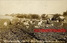 C1910 RPPC PHOTO 