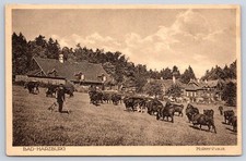 Antique Germany Postcard BAD HARZBURG Molkenhaus Cattle Herds 1938 picture
