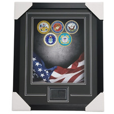Salute to the Armed Forces Professionally Framed 11x14 Display picture