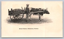 1898 RARE PRIVATE MAILING CARD CHARLES HENRY BLISS BOY W/CART PENSACOLA FLORIDA picture