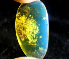 Excellent Natural Dominican Clear Sky Blue Amber Polished Pendant Stone 32mm picture