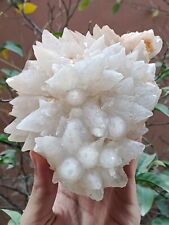 860g Natural Gemstone White Dog Tooth Calcite Cluster Mineral Specimen Crystal picture