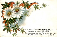 1909 Marcus Iowa Postcard Antique picture