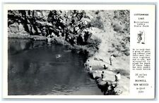 Cottonwood Lake Bottomless Lakes State Park Roswell NM RPPC Photo Postcard picture