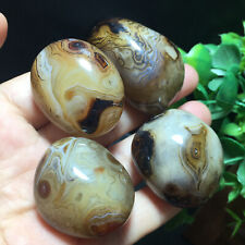 143g 4pcs Madagascar Polished Crazy Lace SILK Banded Agate Reiki healing 519 picture