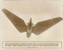 1930s English Experimental Airplane RAF Aircraft Pterodactyl Photo Farnborough picture