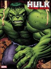 Hulk #1 Adams 1:50 Ratio Variant Cover 11/24 picture