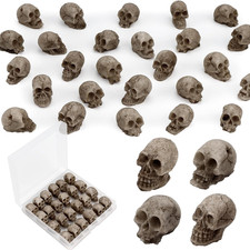 24 PCS Mini Skull Heads, Miniature Skeleton Heads Figurines, Tiny Resin Skulls picture
