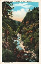 Green Mts. VT, Clarendon Gorge Killington Section, Vintage Postcard picture