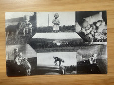 Unusual Vintage RPPC Azo Photo Collage Postcard Black & White Dog Kids Children picture