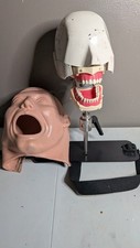 VTG Columbia Dentoform Dental Phantom Head Display W/ Stand - Metal Shroud (#14) picture