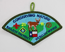 2016 Brazos District Webelos Woods Boy Scouts of America BSA Patch picture