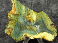 Beautiful Larsonite(Gary Green, Freedom) Jasper Bogwood Slab, lot#979 picture