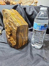 Tiger's Eye XL Lapidary Specimen (10lbs 11.4oz) picture