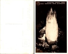 RPPC Elephants Head Colossal Cave Arizona AZ Real Postcard picture