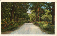 Rogers Arkansas AK The Road to Panorama 1925 Antique Postcard picture