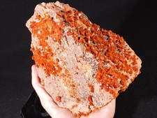 Dozens of ORANGE Crystals BIG Vanadinite Crystal Cluster Morocco 1191gr picture