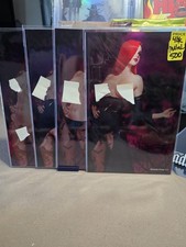 Boo Koo Comix, 4 Book Metal Retailer Proof 1/1 Metal Cover Set picture