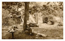 Erving Massachusetts 1870 John Smith Hermit Shack Standard Postcard picture