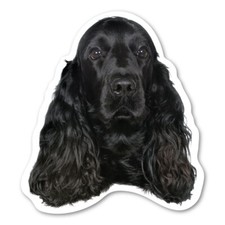 (Black) Cocker Spaniel  Magnet picture