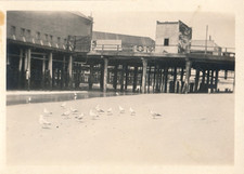 Venice Beach California Pier 1920's B&W Photo Snapshot 2.5x3.5  S24 picture