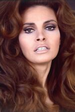RAQUEL WELCH BEAUTIFUL HEAD SHOT 24x36 inch Poster picture
