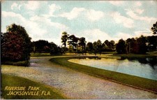 Vintage Riverside Park Jacksonville FL Postcard by Rosin & Co. picture