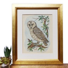 Vintage Framed Print Owl Bird Wall Art Picture Signed Small Gold Frame Russell picture