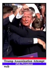 President Donald Trump Assassination Attempt Trading Card 2024 picture