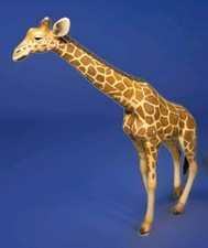 2012 CollectA Reticulated Giraffe 6½