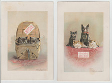 1880s NUDAVENE FLAKES Pr. BEAUTIFUL CATS MATCHING VICTORIAN TRADE CARDS Kittens picture