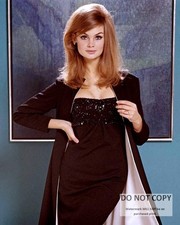 Jean Shrimpton Publicity Photo 8x10 Fashion Model Portrait 2 picture