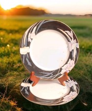 2 Mikasa Charisma Black Dinner Plates 10.5