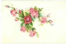 Pink & Red Roses Floral Art Divided Back Postcard c1910 Unused picture