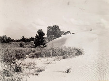 Vintage INDIANA DUNES/SAND DUNE 8x10 PRESS PHOTO,Porter County,Michigan City,IN picture