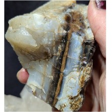 Opalized Petrified Wood w/ blue hues Specimen Natural Form (12oz) picture