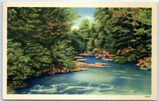 Postcard - Nature Scene picture