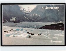 Postcard Glacier Bay National Monument Alaska USA picture